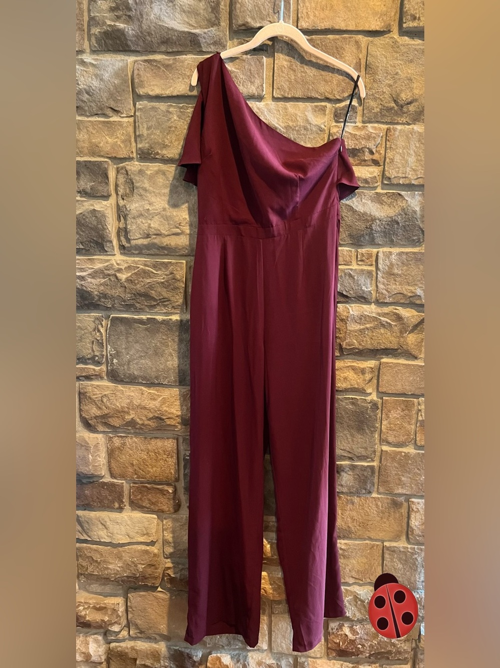 BB Dakota Burgundy Jumpsuit Size 10